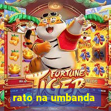 rato na umbanda